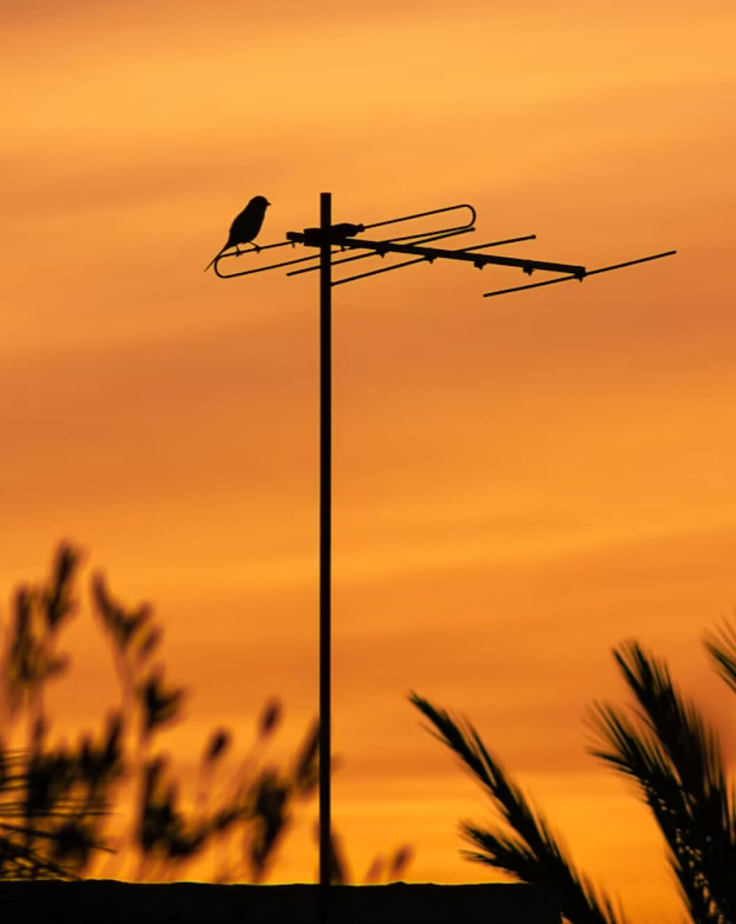 AusEco Electrical- domestic small and large electrical project