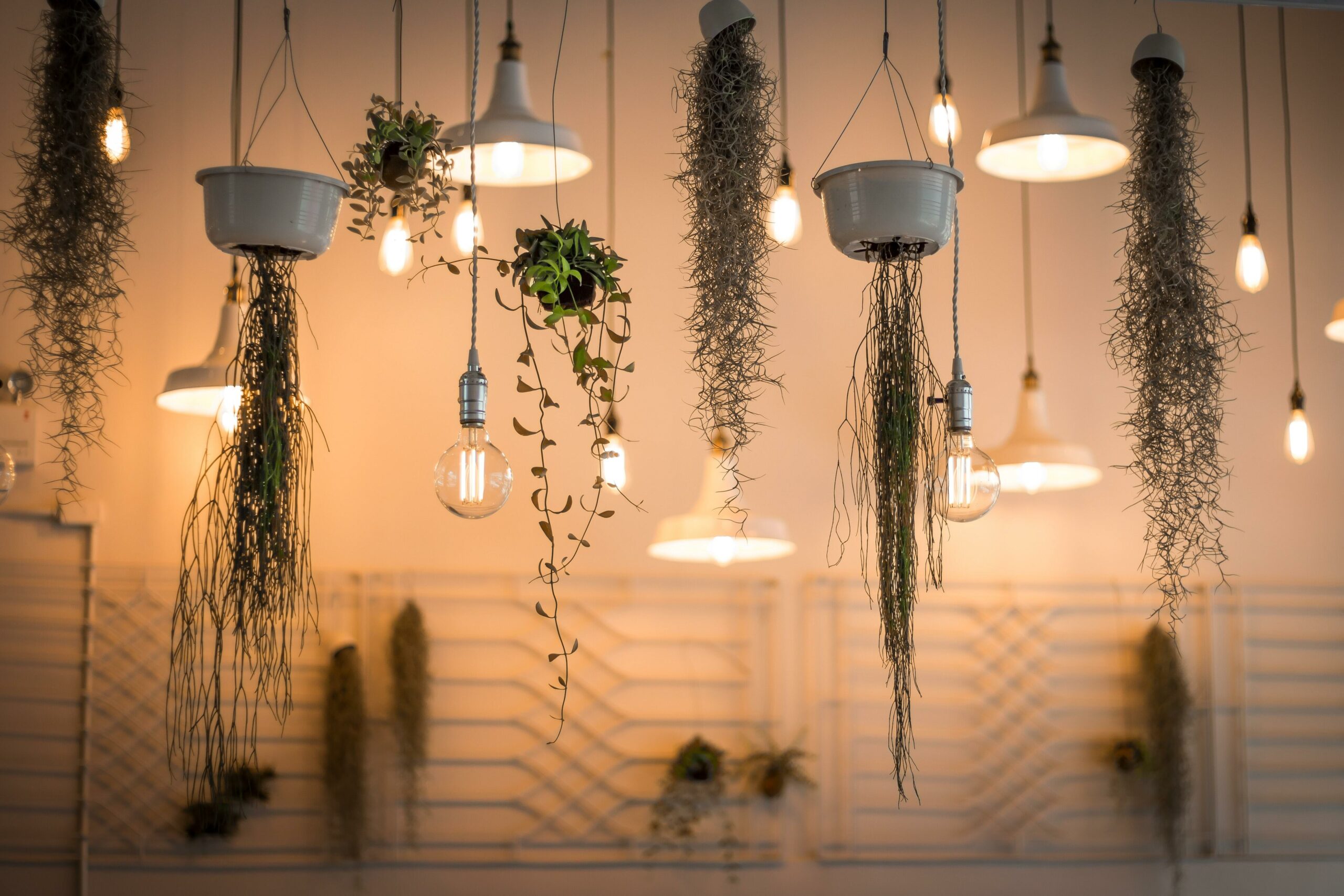 Hanging light bulbs and potted plants with trailing vines are suspended from the ceiling against a beige background.