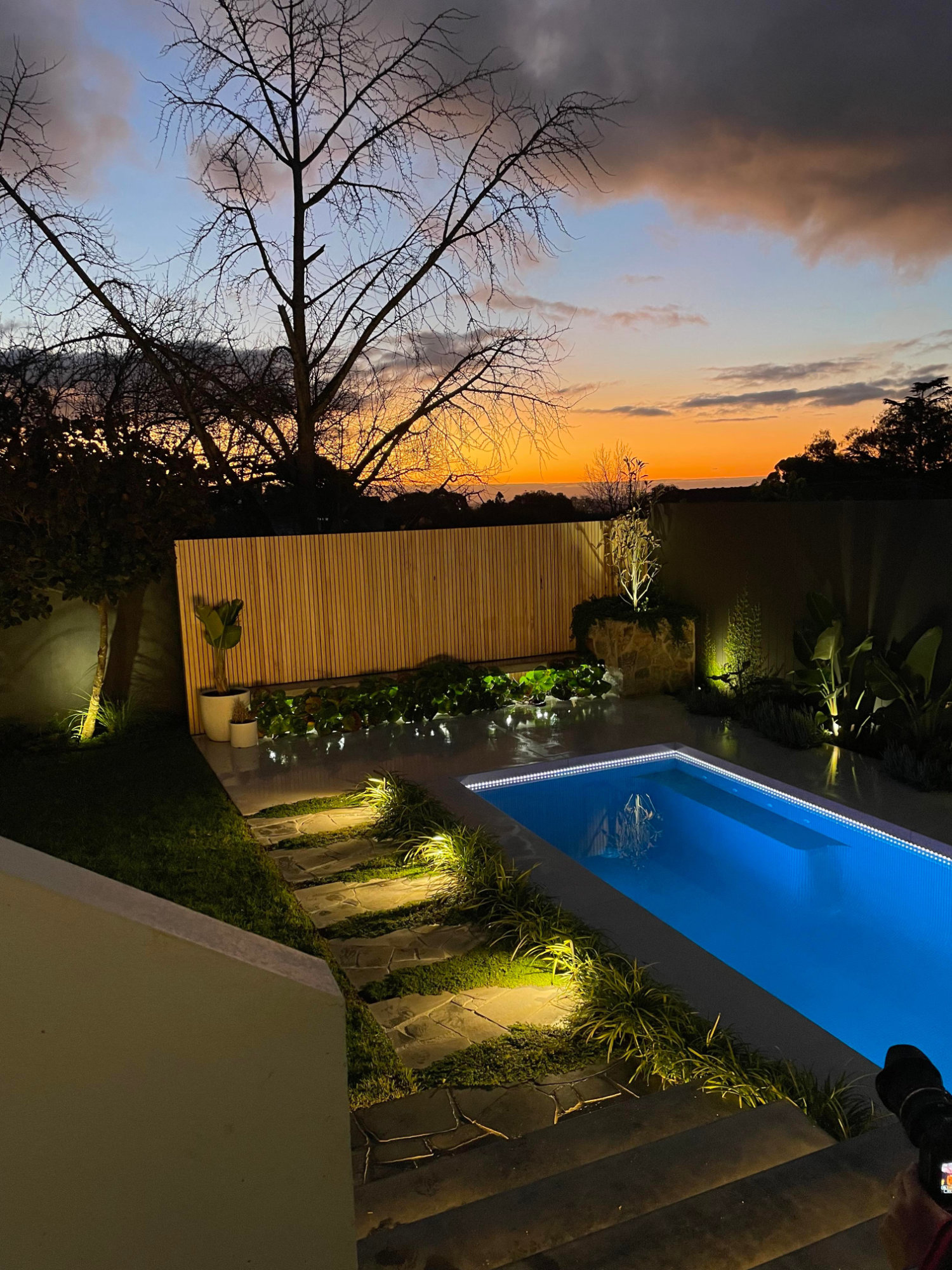 A backyard features a lit swimming pool, landscaped plants, and a wooden fence at sunset with a tree and clouds in the background.